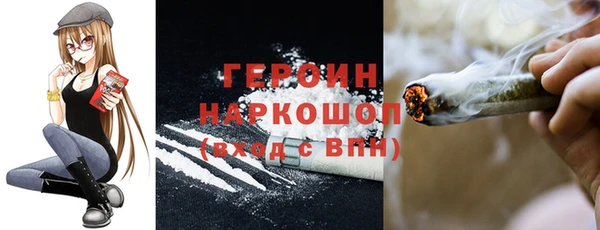 индика Заводоуковск