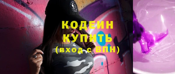 индика Заводоуковск