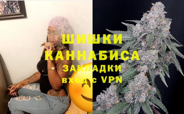 индика Заводоуковск