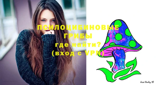 индика Заводоуковск