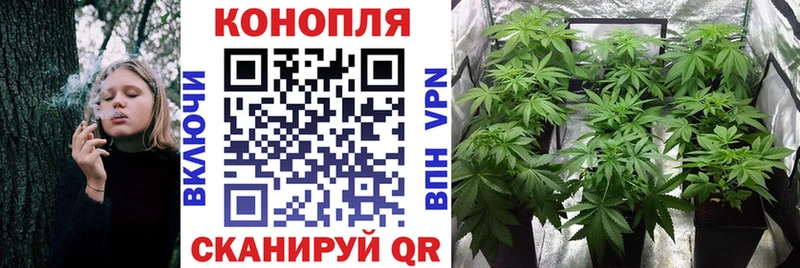 Конопля Amnesia  Купить закладки  Калач 